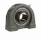 Browning Mounted Ball Bearing, Tapped Base Pillow Block, Setscrew, No VTBS219 VTBS219 - alternate 5